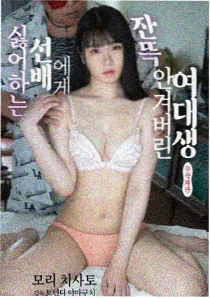 酱香里的小镇篇章封面